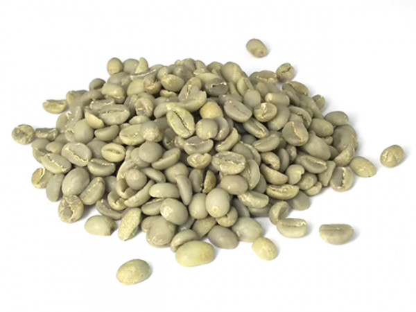 Oromo Citro