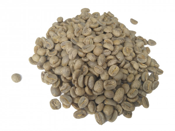 Finca Aurora
