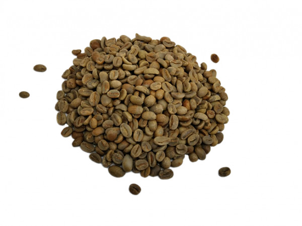 Lyquidambar